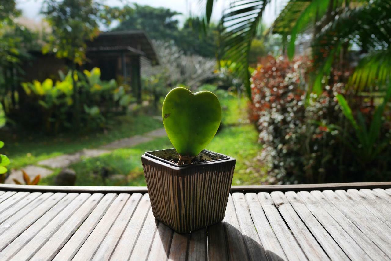 Love Pai Home Zewnętrze zdjęcie